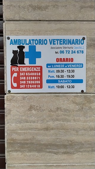 Associazione Veterinaria Cinecitta 2