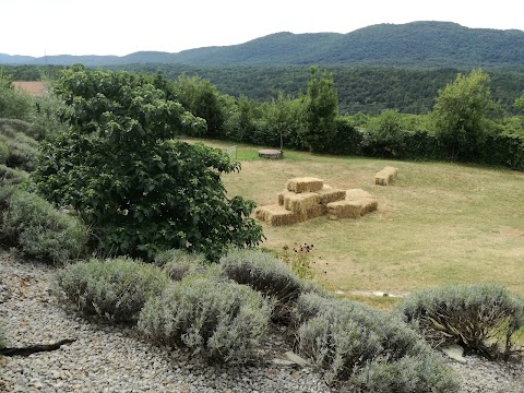 Hostel Pliskovica