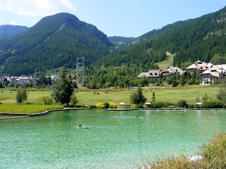 Baignade biologique - Lac du Pontillas de La Salle les Alpes