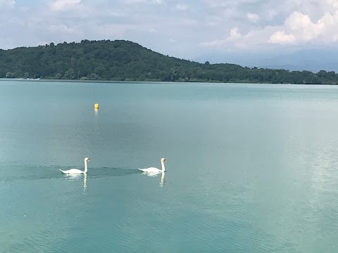 Circolo Nautico Torino asd