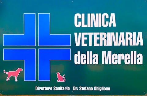 Clinica Veterinaria Della Merella Di Stefano Dr. Ghiglione