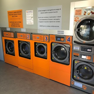 ENJOY-Via Fedeli Lavanderia Self Service - Laundry