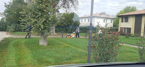 CSM Global Service| Impresa di pulizie, disinfestazioni, sanificazioni e giardinaggio| Bologna