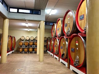 Wine Shop Domìni Veneti Negrar