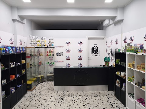 CANNABIS STORE ROMA|AMERICANNABIS24H|