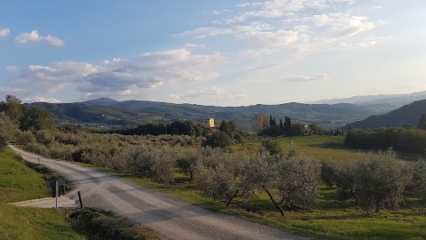 AGRITURISMO COLOGNOLE CHIANTI Rufina Firenze Toscana