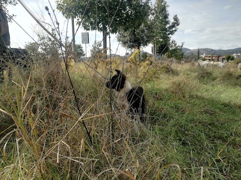 Centro Sportivo Capo I Prati