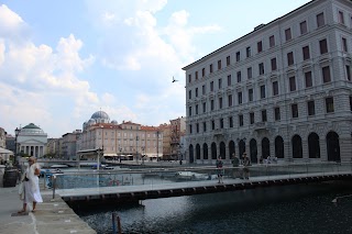 Università Popolare di Trieste