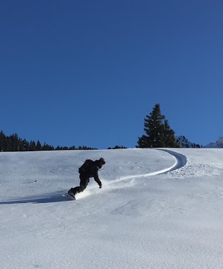 Freedom Snowboarding