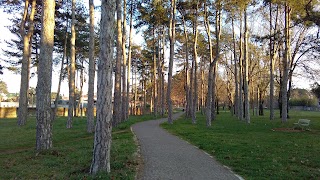 Bosco Primo Maggio