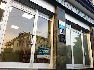 Clinica Veterinaria Brugherio