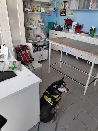 AMBULATORIO VETERINARIO FRATI