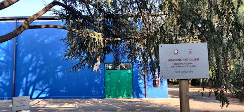 Scuola Secondaria di 1° Grado "Pier Cironi"