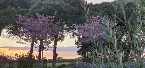 villaggio mediterraneo