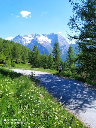 Ròseo Sestriere