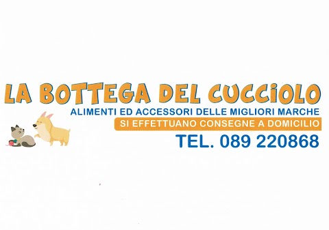 La Bottega del Cucciolo