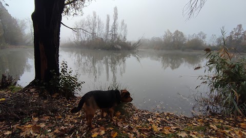 Oasi le Foppe di Cavenago Brianza