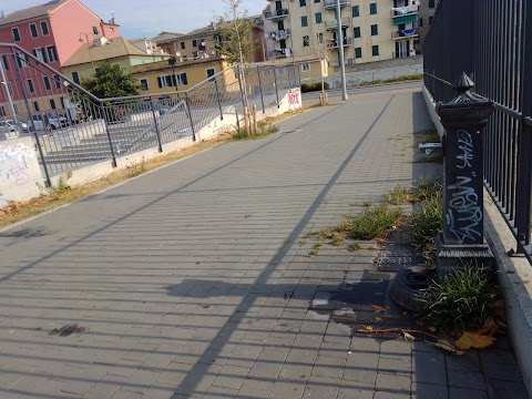 Fontana di Acqua Potabile Skate Park