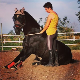 Holden Club - Centro Equestre