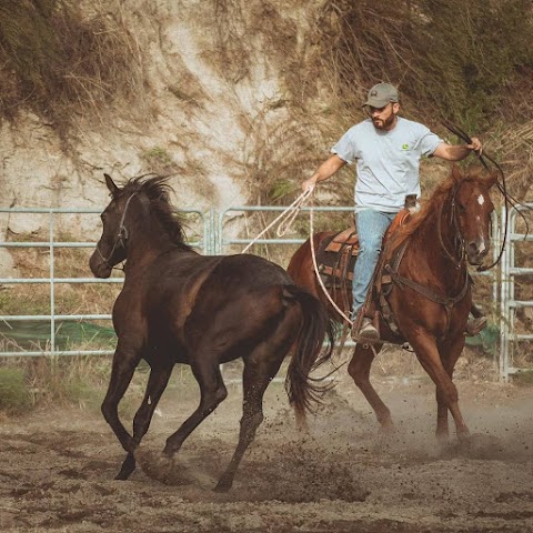 Frola's Ranch - Accademia Monta Americana