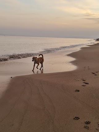 Spiaggia libera