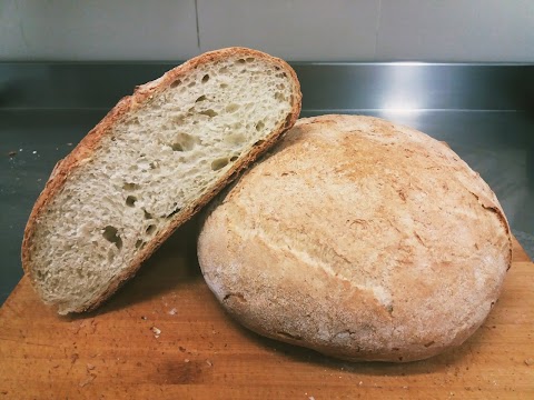 Antico Forno di Nesi A. Snc