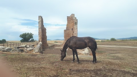 Bed and Breakfast "Le Cascatelle"