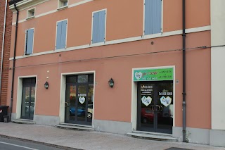 Pinko Pallino - Pizzeria d'Asporto a Mirandola