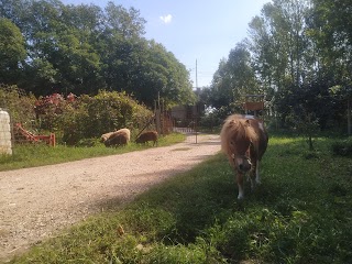 Fattoria degli Animali