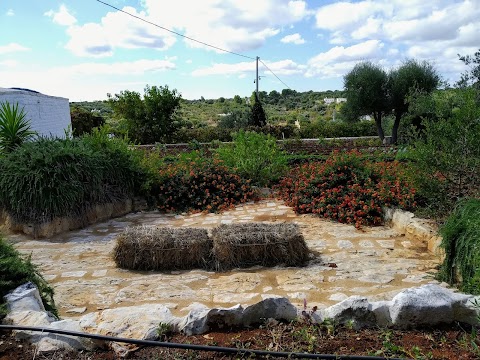 Trullo Picchiagiuda