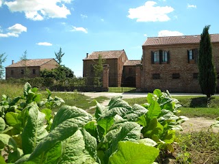 Foresteria di Borgogelsi Apartments