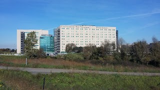 Universita' Tor Vergata - Laboratori Di Medicina Ambientale E Occupaz.