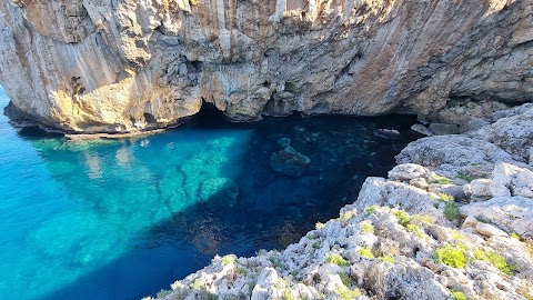 Centro cinotecnico di capo rama