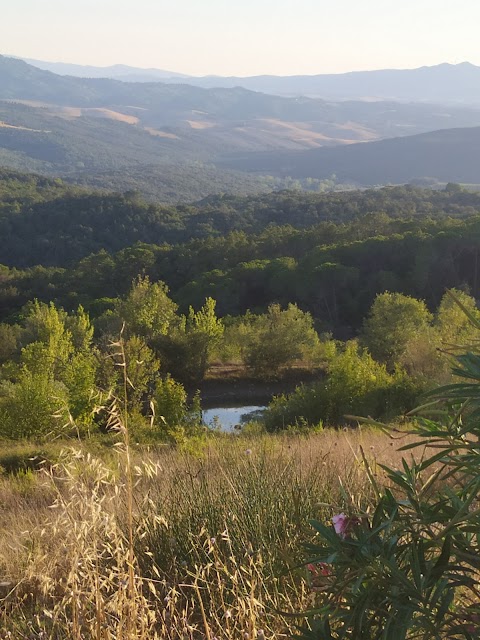 Tenuta Quadrifoglio