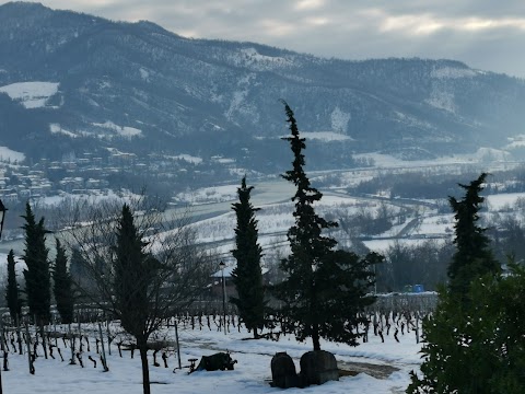 Agriturismo La Dolce Vite