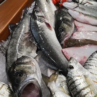 Pescheria al Golfo di Trieste