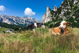 Rifugio Campogrosso