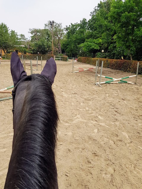 Centro Equestre Le Siepi