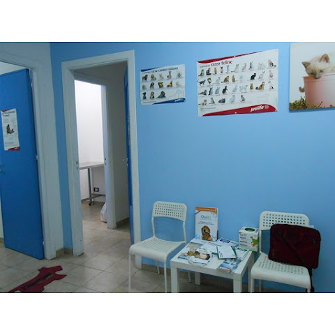 Centro Veterinario Misilmeri