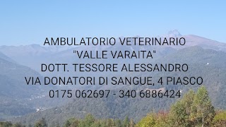 Ambulatorio Veterinario "Valle Varaita"