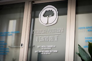 "Il Centro del Sé" Psicologia e psicoterapia, psicologo Dott. Zavanella, Dott.ssa Butturini