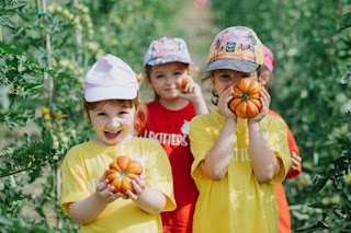 Labsitters - Imparare l'inglese divertendoti