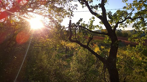 Agriturismo La Vigna Dei Peri