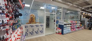 PetStore