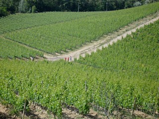 Casa in Chianti