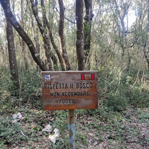 Centro Visite Bosco delle Pianelle