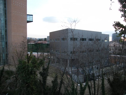 Università degli Studi di Perugia - Facoltà di Medicina e Chirurgia