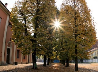 Scuola Primaria Paritaria San Giuseppe