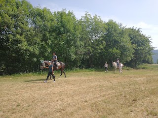 Horsewood Riding Club Asd