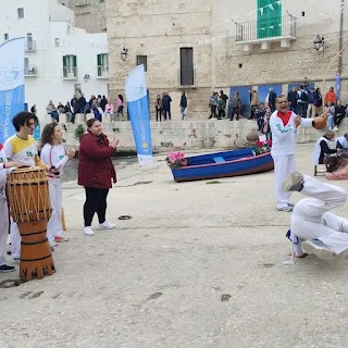 Capoeira Radici del Brasile